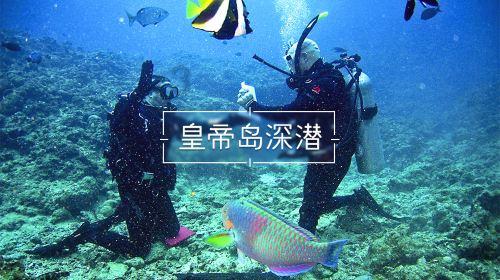 易币付官方网站游戏画面