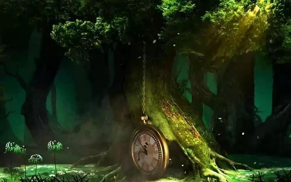 创作猫